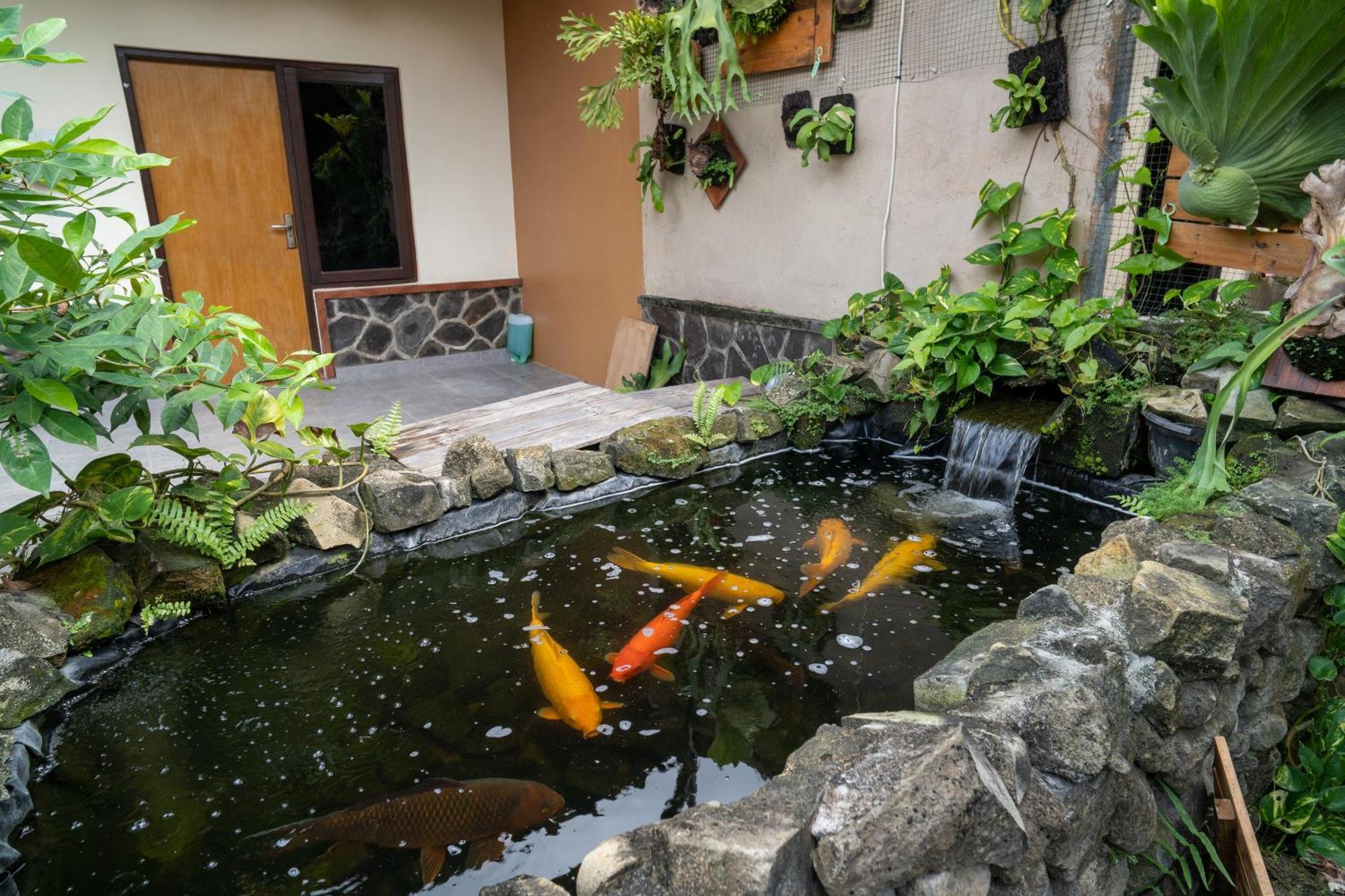 أوبود Vinaya Homestay المظهر الخارجي الصورة